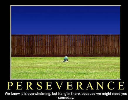 perseverance